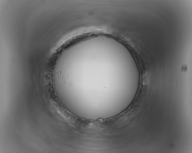 X0000111181496200907151311