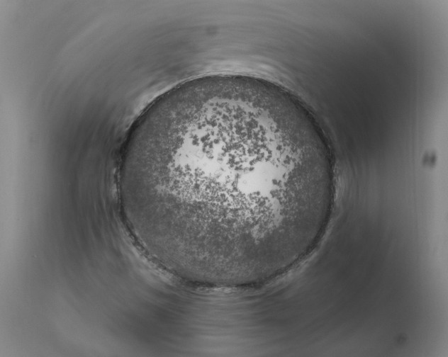 X0000111181497200907151311