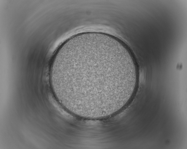 X0000111181498200907151311