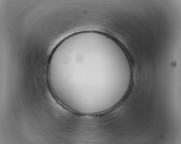 X0000111181500200907151311