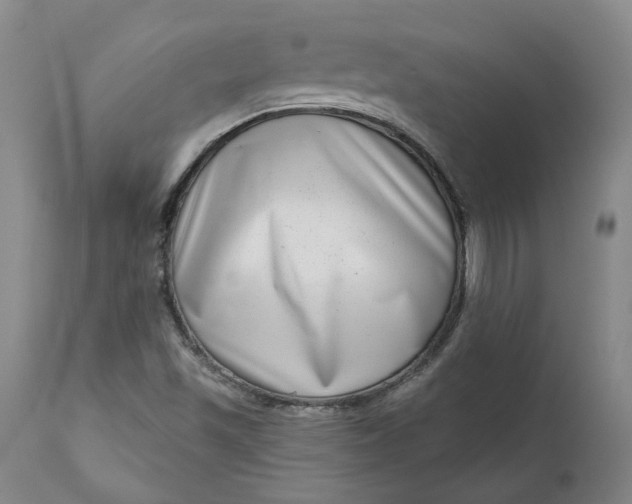 X0000111181501200907151311