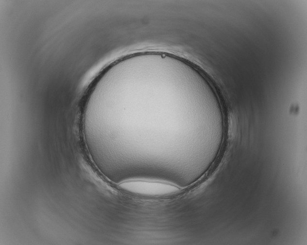 X0000111181502200907151311