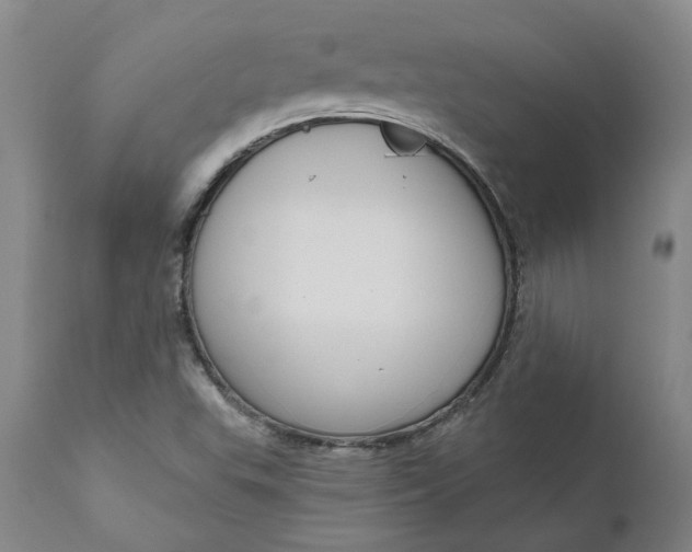 X0000111181503200907151311