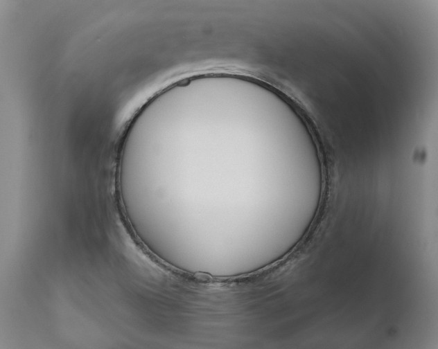 X0000111181504200907151311