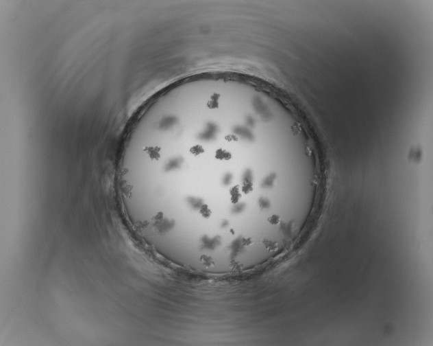 X0000111181505200907151311