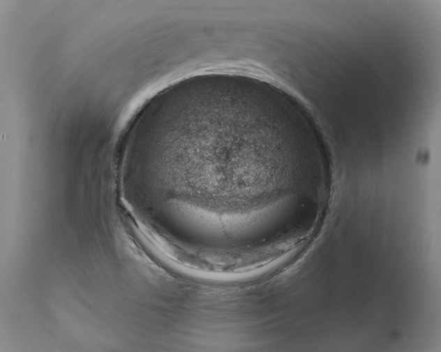 X0000111181506200907151311