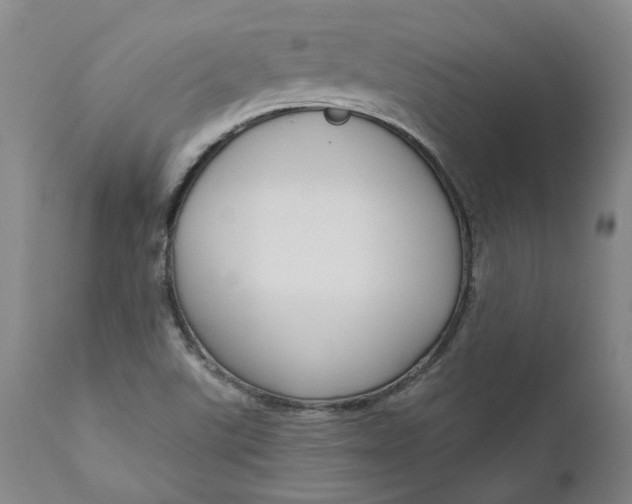 X0000111181507200907151311