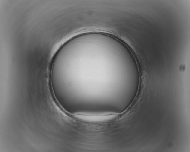 X0000111181508200907151311