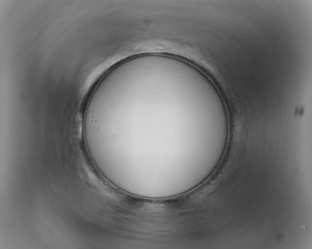 X0000111181509200907151311