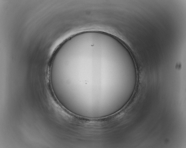 X0000111181510200907151311