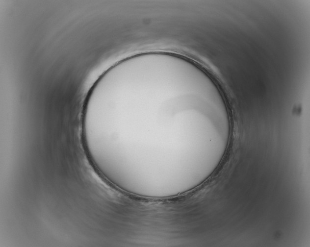 X0000111181512200907151311