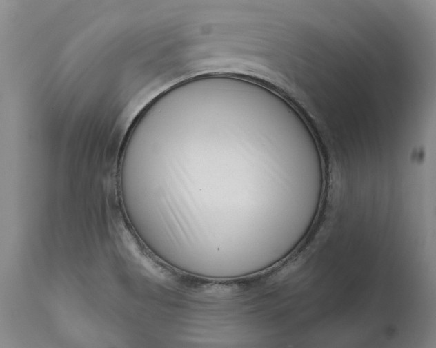 X0000111181513200907151311