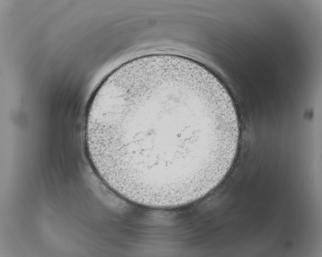 X0000111181514200907151311