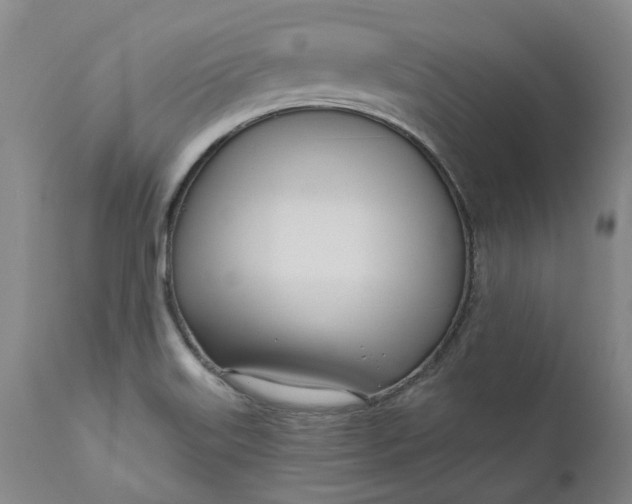 X0000111181515200907151311