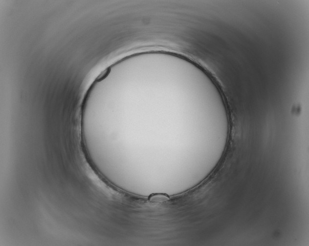 X0000111181516200907151311