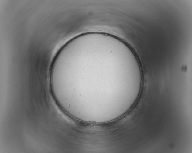 X0000111181517200907151311