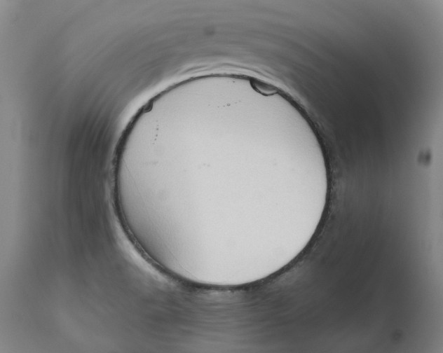 X0000111181518200907151311