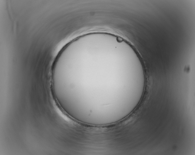 X0000111181519200907151311