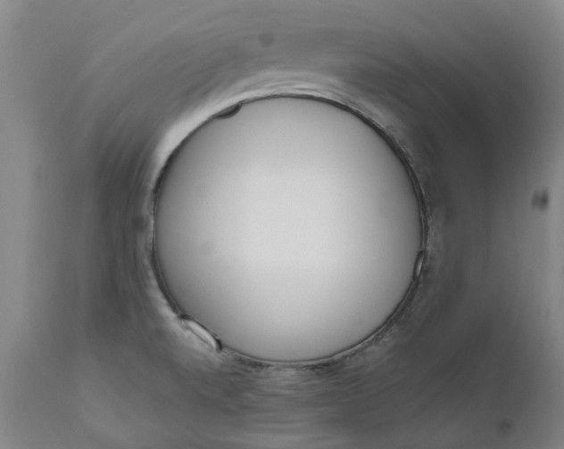 X0000111181520200907151311