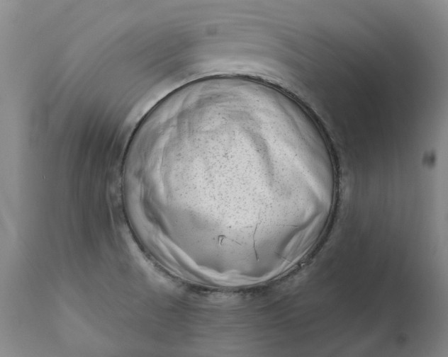 X0000111181521200907151311