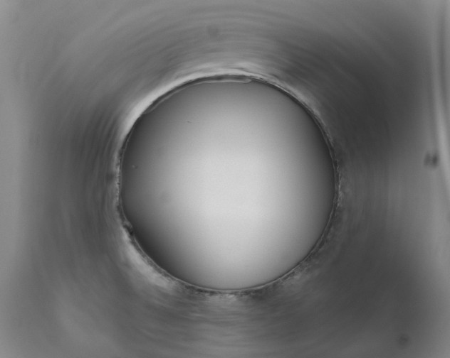 X0000111181524200907151311