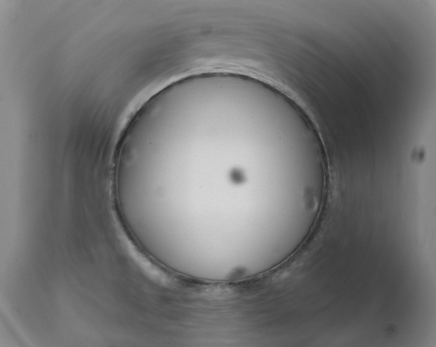 X0000111181525200907151311