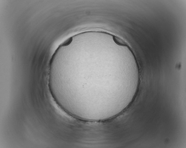 X0000111181526200907151311