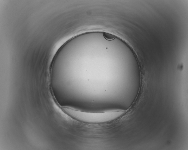 X0000111181527200907151311