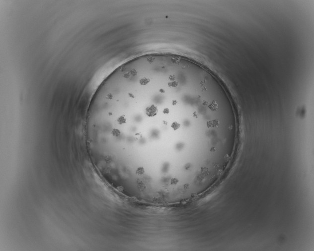 X0000111181529200907151311