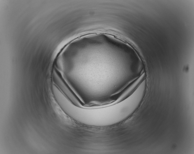 X0000111181530200907151311