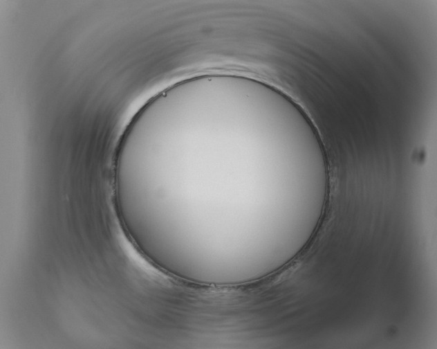 X0000111181531200907151311