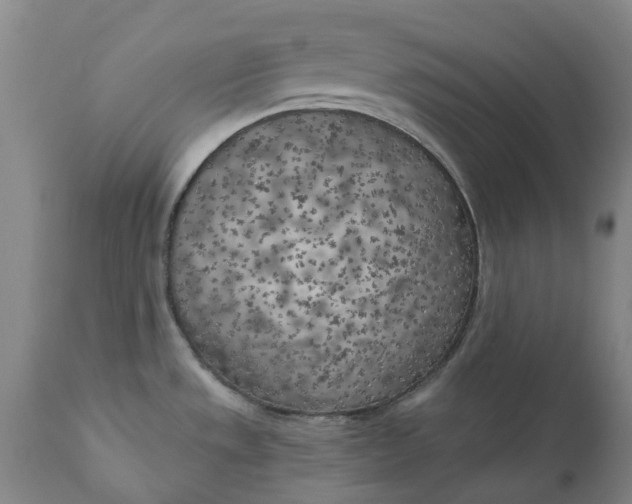 X0000111181533200907151311