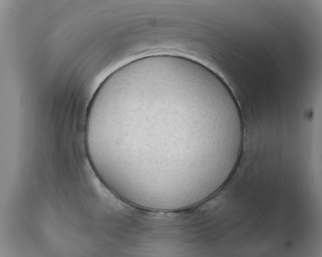 X0000111181534200907151311