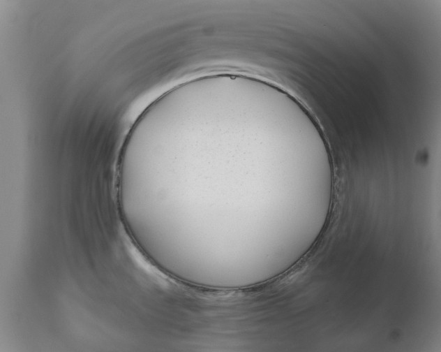 X0000111181535200907151311