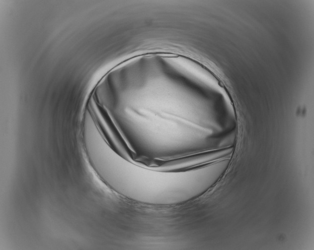 X0000111181536200907151311