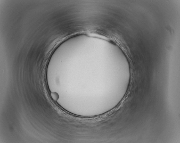 X0000111180001200907221058