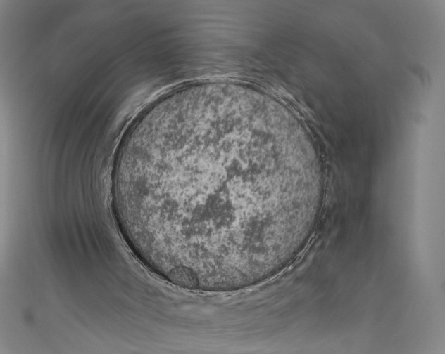 X0000111180002200907221058