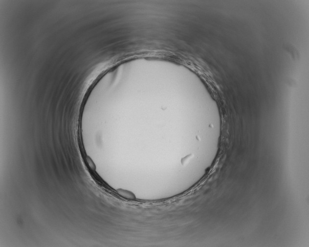 X0000111180003200907221058