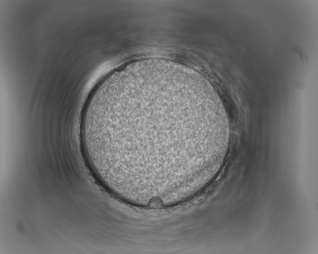 X0000111180006200907221058