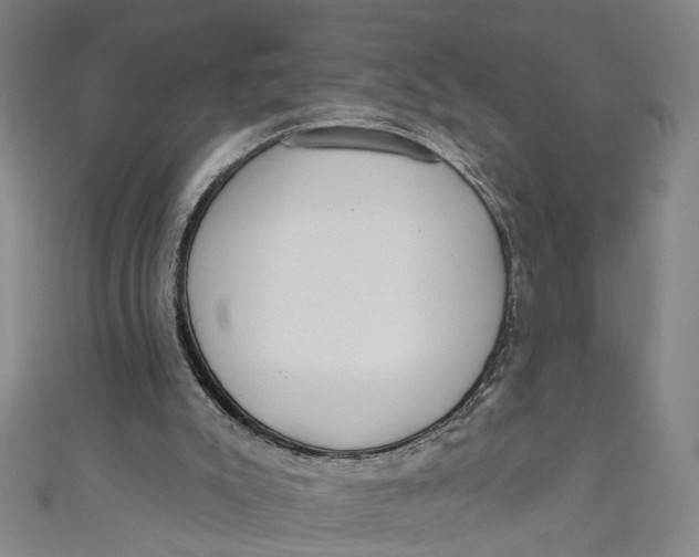 X0000111180007200907221058