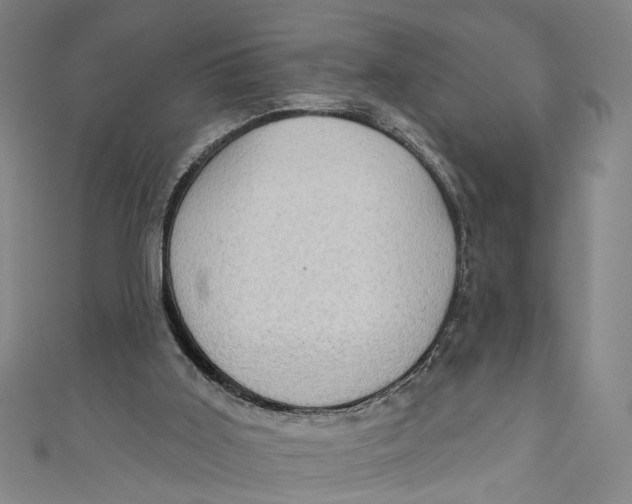 X0000111180011200907221058