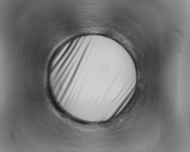 X0000111180012200907221058