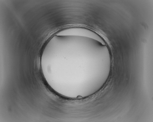 X0000111180013200907221058