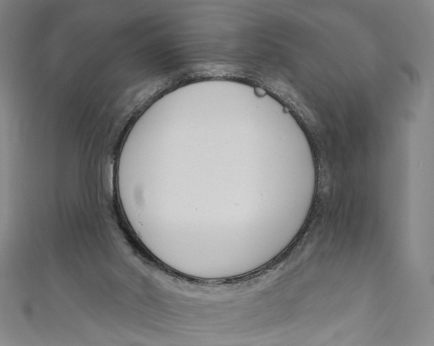 X0000111180014200907221058