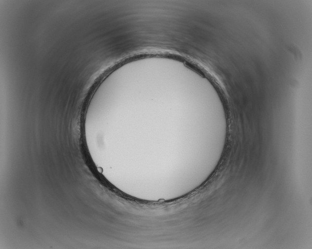 X0000111180015200907221058