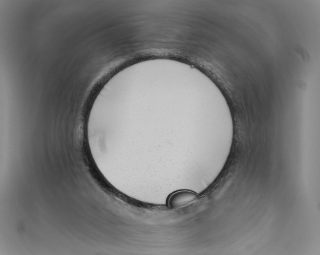 X0000111180016200907221058