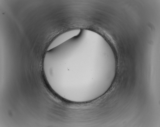 X0000111180017200907221058