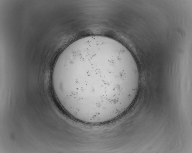 X0000111180018200907221058