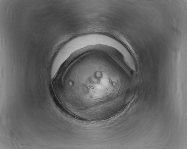 X0000111180019200907221058