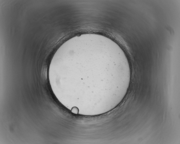 X0000111180021200907221058